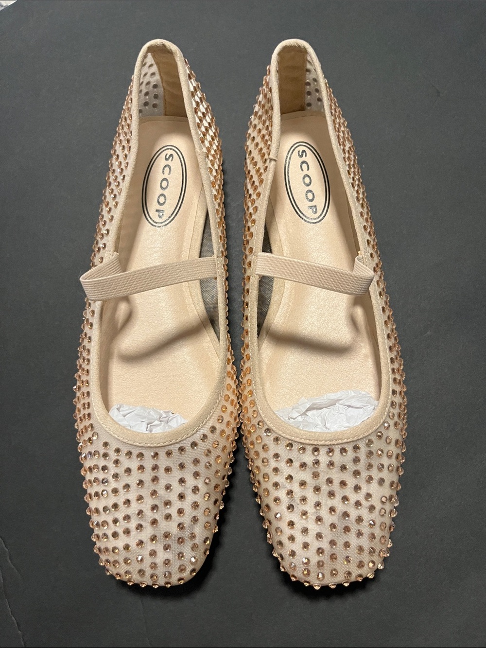 NWOT Scoop Nude Crystal-Embellished Ballet Flats